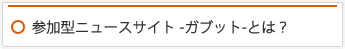 参加型ニュースサイト -ガブット-とは？